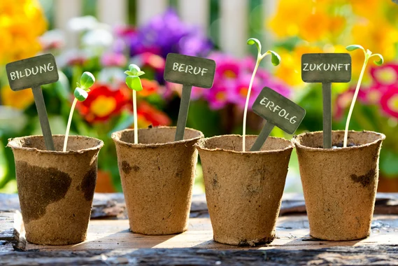 bunte Blumen in verschiedenen Töpfen eingepflanzt
